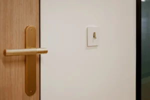 Finitions poignées de porte et interrupteur